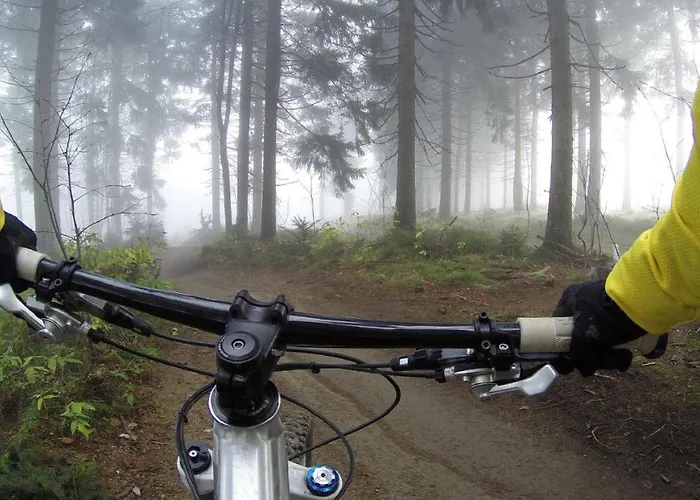 Bed & Breakfast Bij Zelle 3*